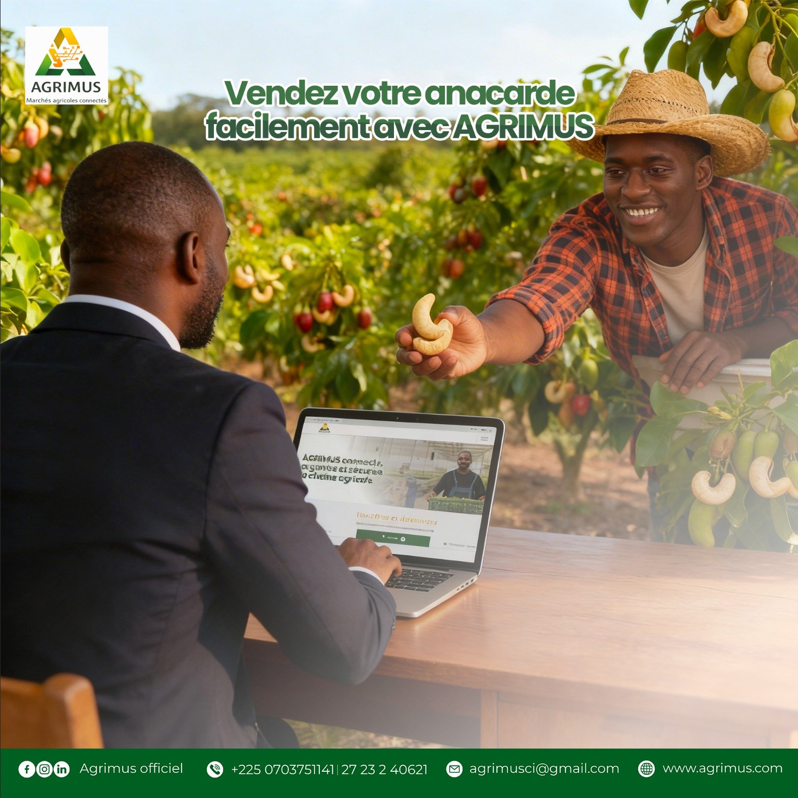 🚜🌱 Bonne nouvelle pour les producteurs d’anacarde !  Un partenaire acheteur de la plateforme AGRIMUS lance officiellement une campagne d’achat d’anacarde.