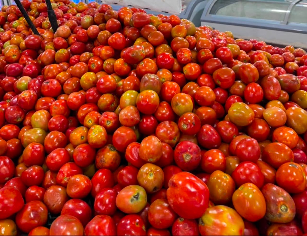 Tomates